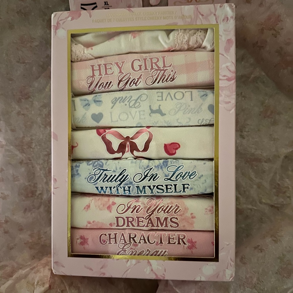 Victoria’s Secret Pink And Loveshackfancy Cheeky Panties Love Notes